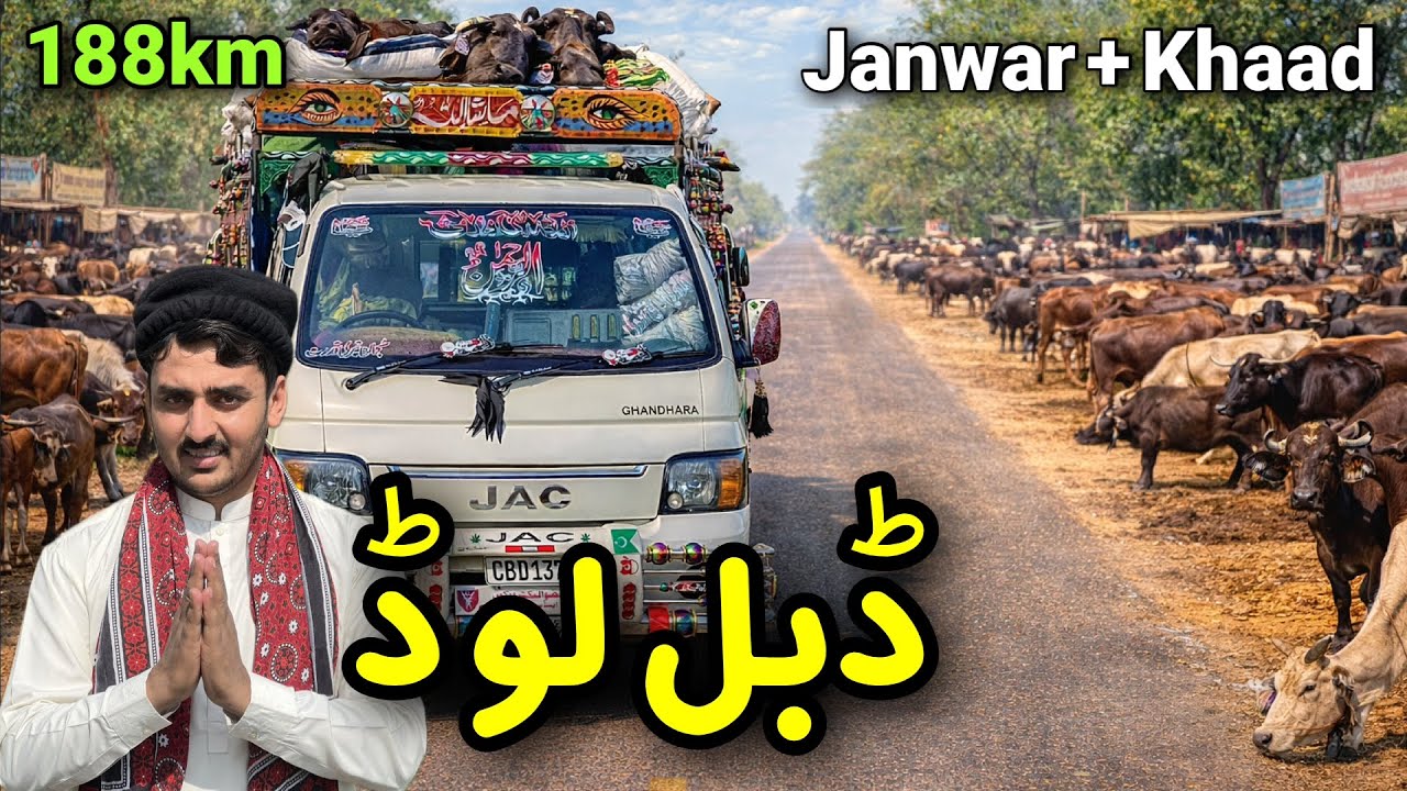 JAC X200 par janwar load | Darya Khan se Fatehpur mandi ka safar #travelvlog 