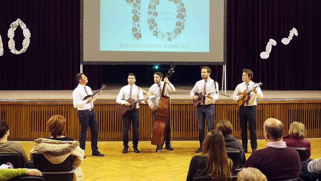 Jeftanovićevo kolo i Banatski mađarac, 10 godina s vama, miroslavyt