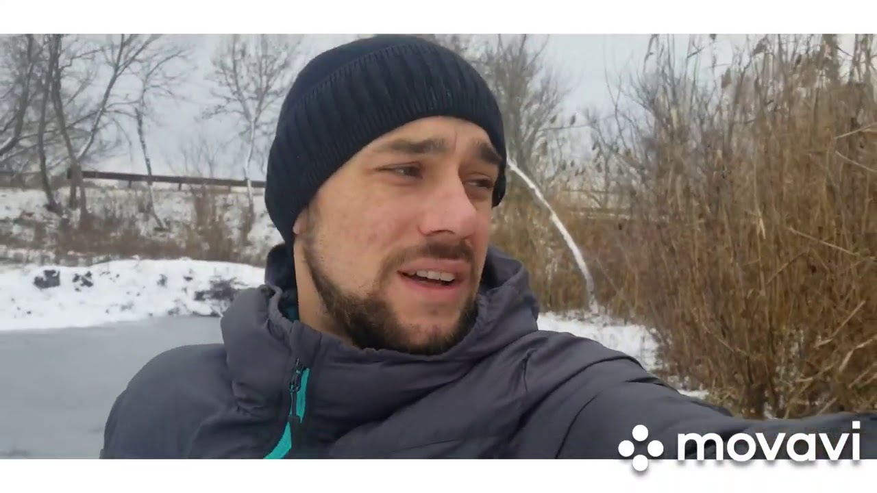 ловушка для выдры в действии