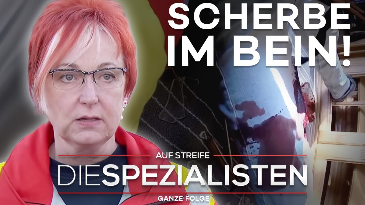 Scherbe verletzt Arterie! Kind unter Glasschrank eingeklemmt! | Die Spezialisten | SAT.1