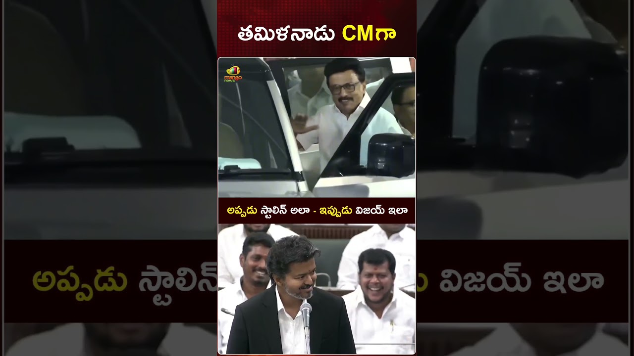 Vijay Vs Stalin | Tamil Nadu Politics | #CMVijay | #MKStalin | #YTShorts | Latest News | Mango News