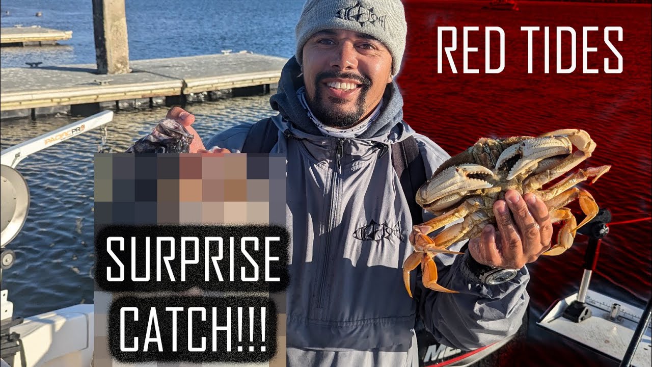 Crab Season Opener, Rockfish Limits, and Surprise Catch!!! | ITGETSREEL Episode 201