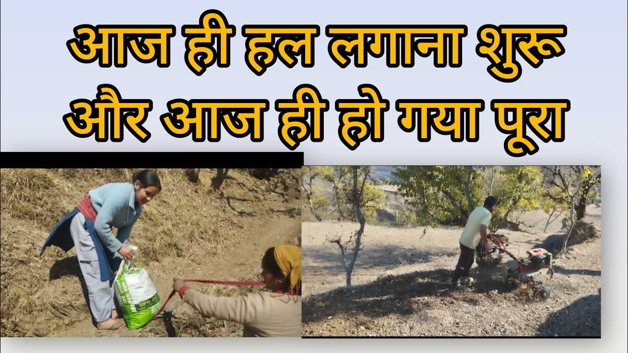 हल लगाने के साथ साथ इतने सारे पत्थर भी उठाये आज🙂🙂