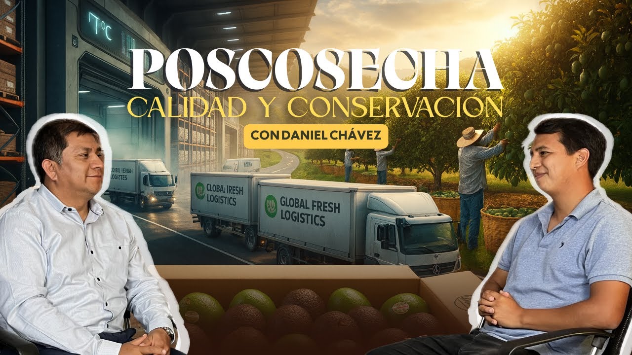 ¿QUE SUCEDE REALMENTE DESPUES DE LA COSECHA? | LA POSCOSECHA AL DESCUBIERTO | EP3