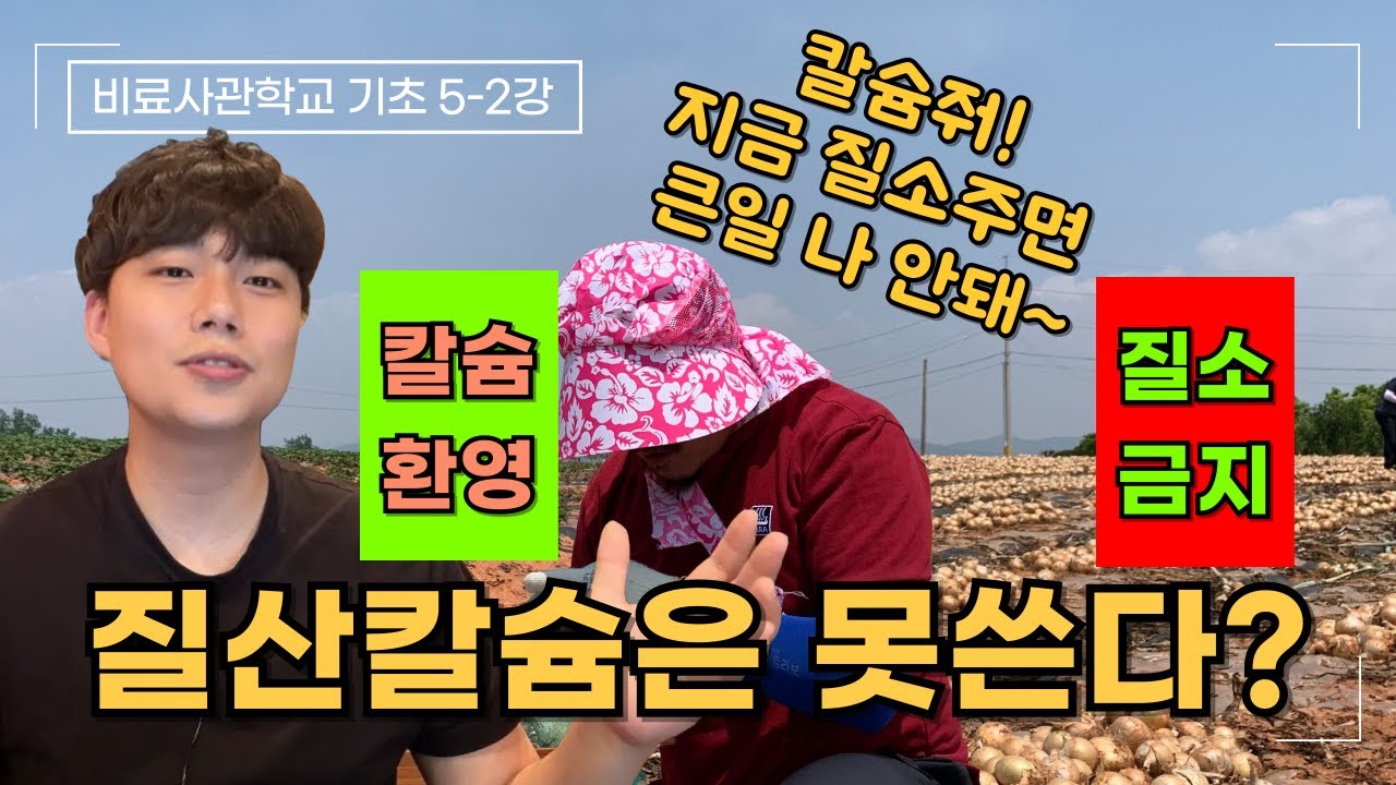 칼슘비료 주는 방법 알려드립니다. 추가꿀팁) 여러분이 질산칼슘 후기에 못주는 이유 | 비료사관학교 기초 5-2강 | 농사 100단