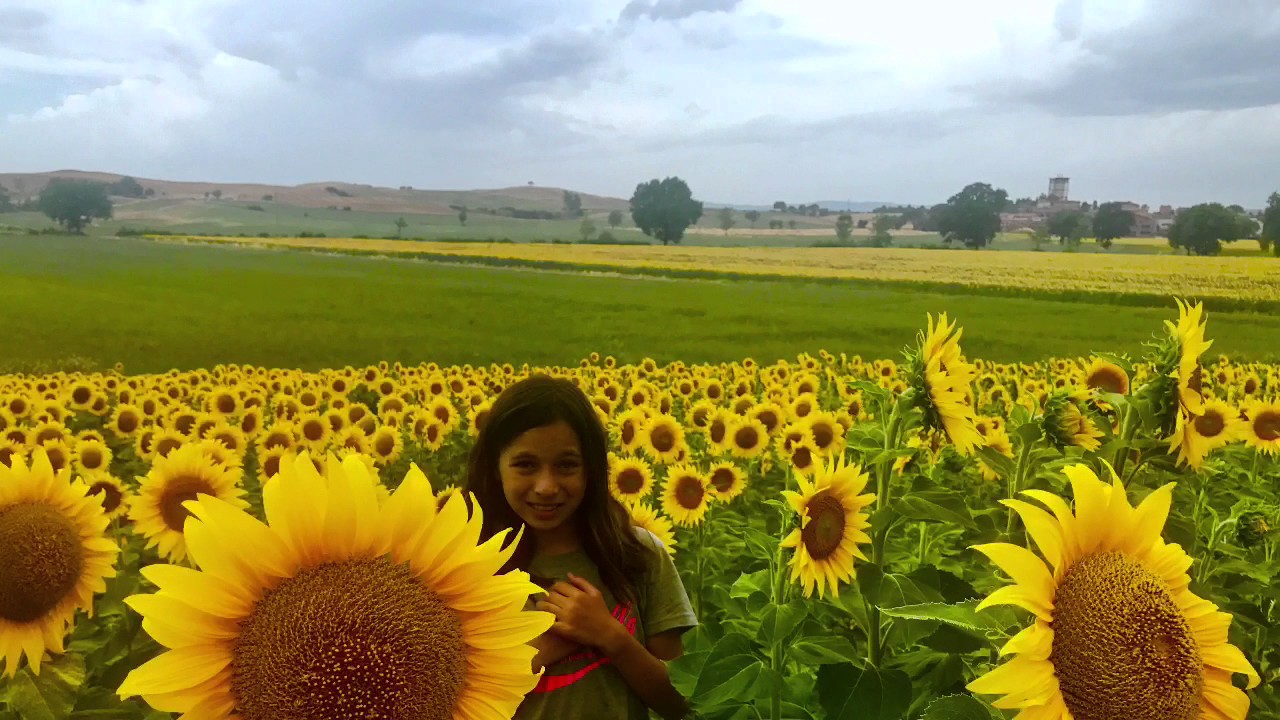 Via Francigena: The Italian Camino