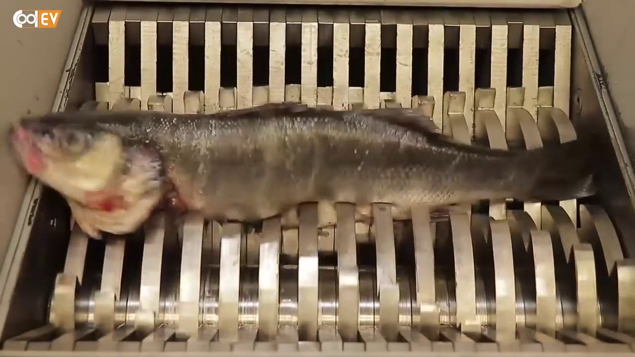 The Most Satisfyshing Shredding Compilation