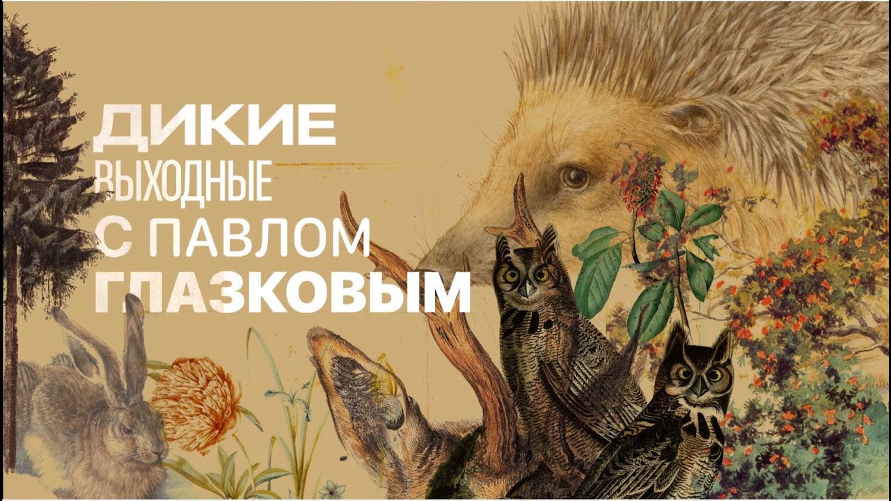 Дикие выходные с Павлом Глазковым. Сестрорецкое болото