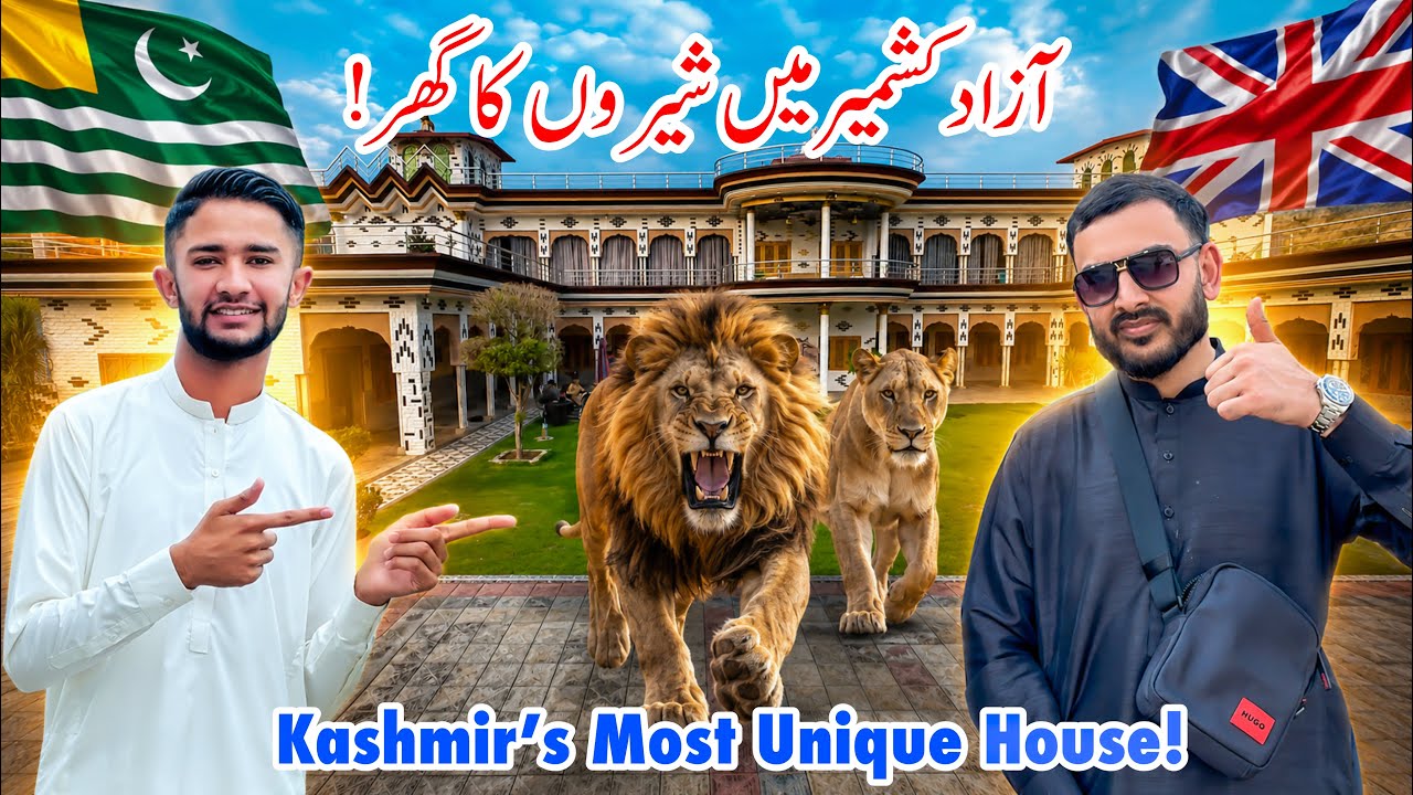 Real Lion King of Azad Kashmir?😱 Lions Roam Freely at This Mansion!