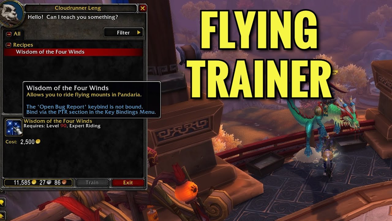 Shrine Of Seven Stars Flying Trainer Location (WoW MOP)