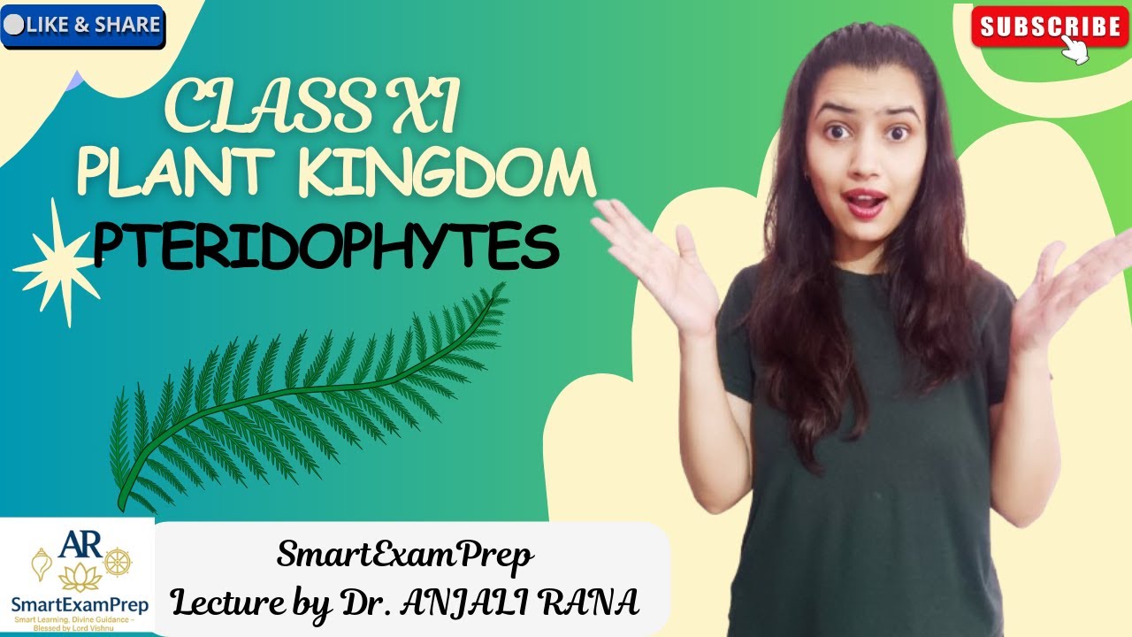 Plant Kingdom🌲🌿 Part 4 Pteridophytes | NCERT Line-to-Line Explanation | Class XI Biology | NEET 2026