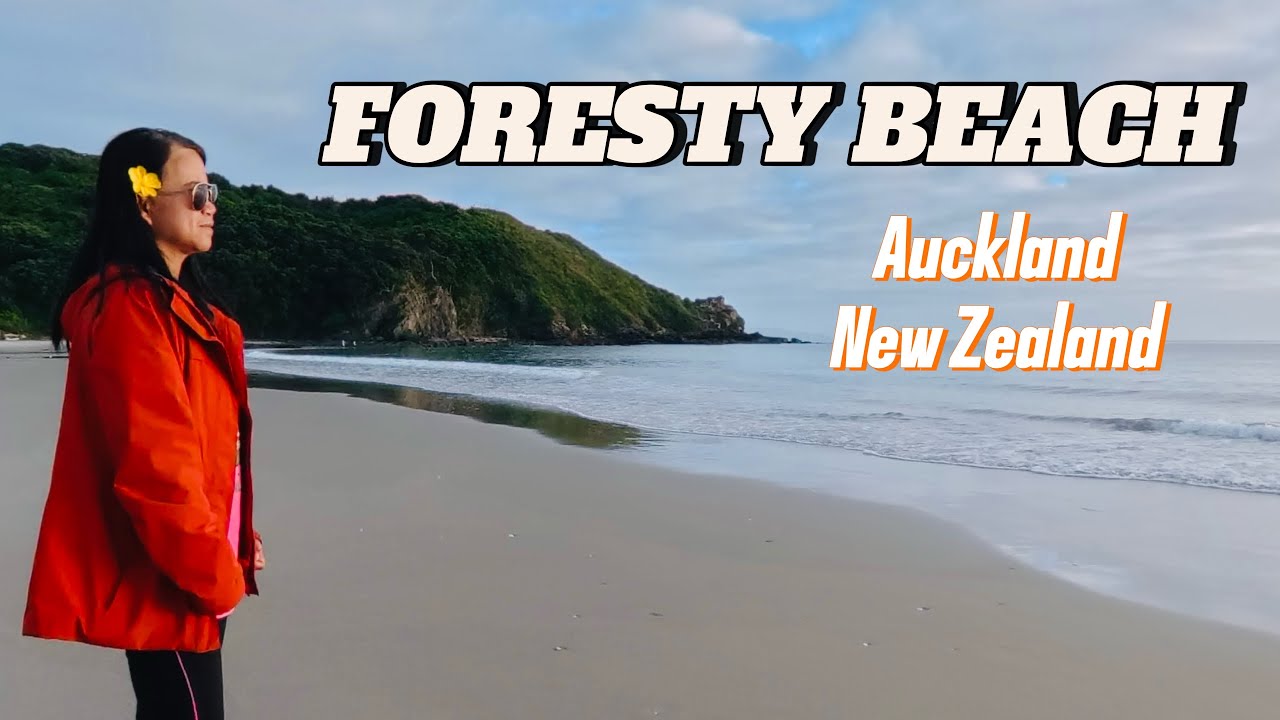 Forestry Beach, Te Arai Regional Park, Auckland, New Zealand 