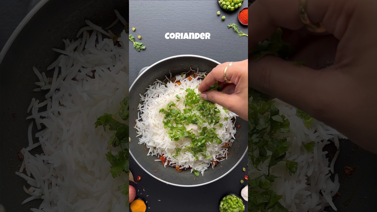 Masala Rice l Daawat Biryani Basmati l Easy to Cook recipe #shorts #trending #masala #rice #recipe