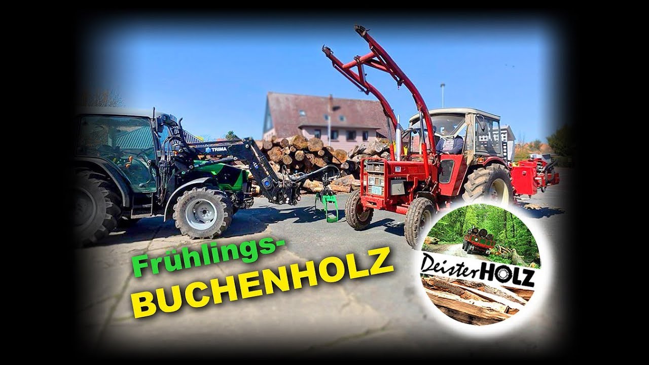 Frühlings Buchenholz
