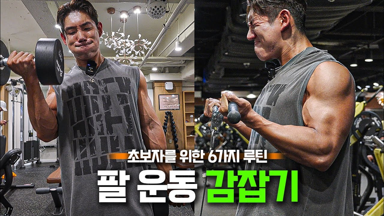 팔 운동이 어려운 사람들을 위한 6가지 루틴 | 감잡기 Ep.4