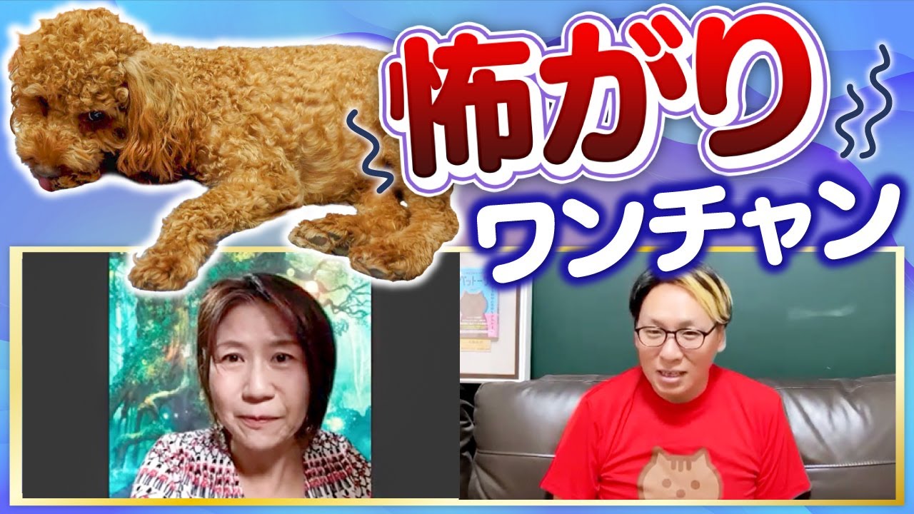 どうして娘に吠え続けるの？