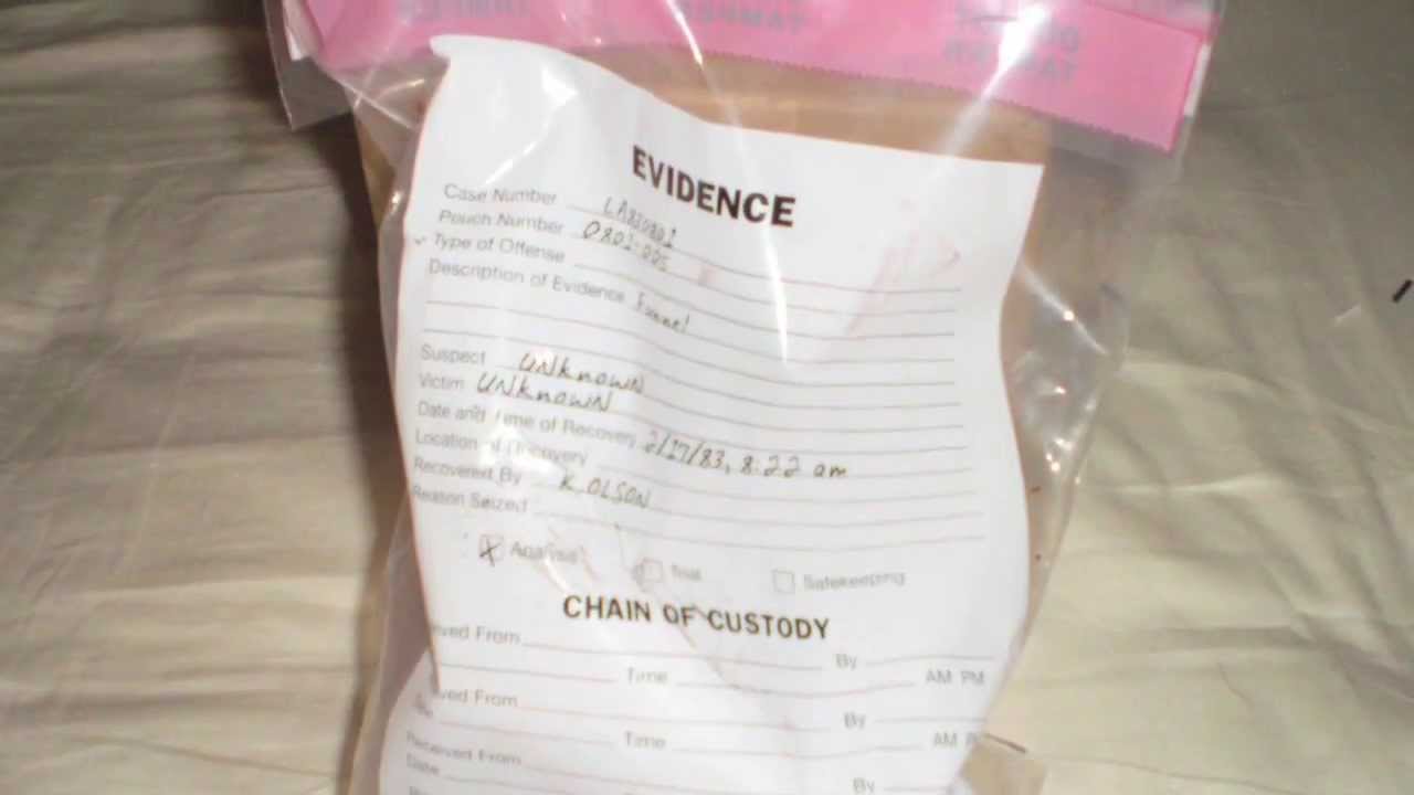 Can I "appeal" a criminal case in Nevada?