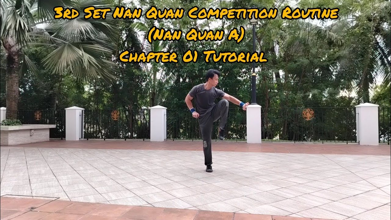 3rd Set Nan Quan Chapter 01 (Nan Quan A) Explanation