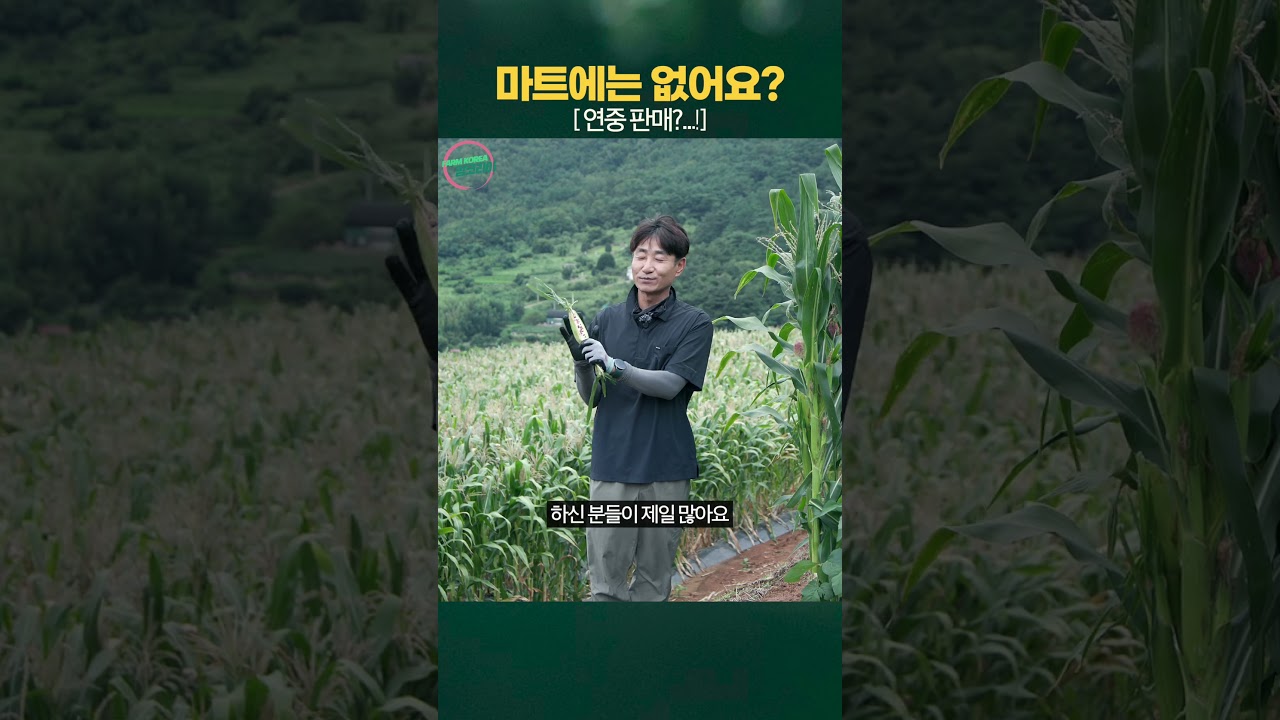 연중 구매가 가능한 곡성 삼기 미니옥수수