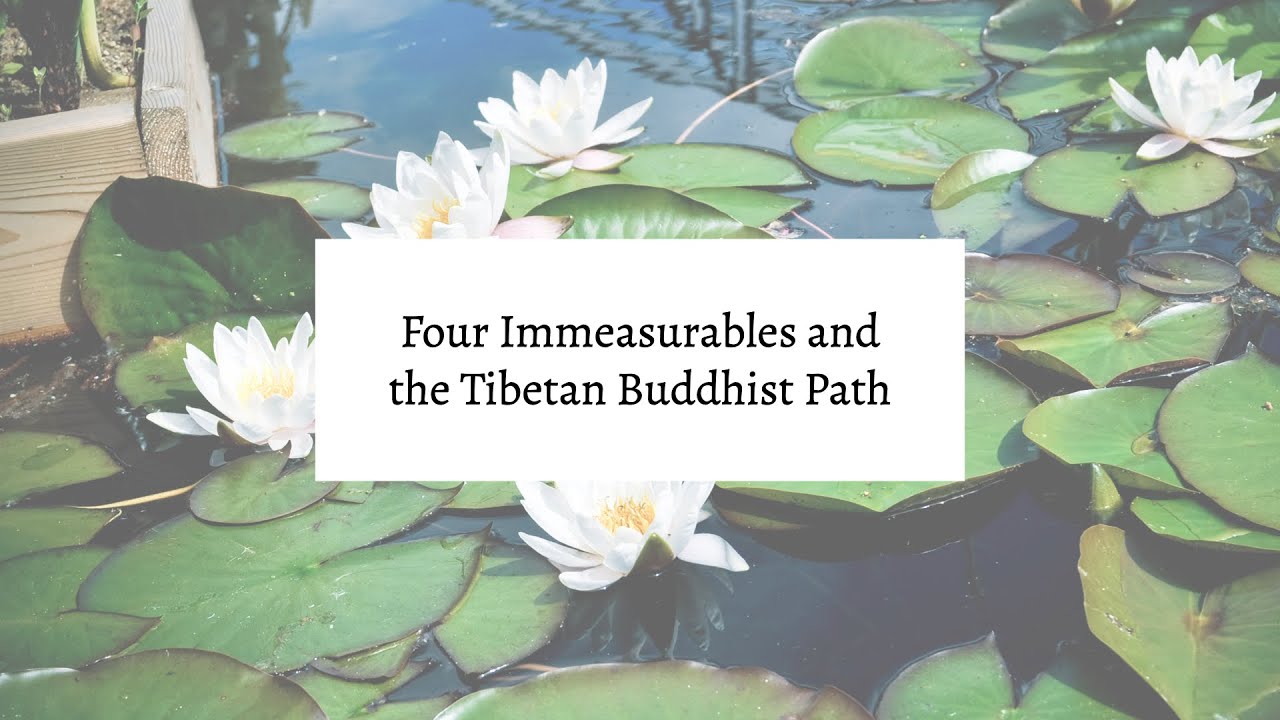 Four Immeasurables and the Tibetan Buddhist Path