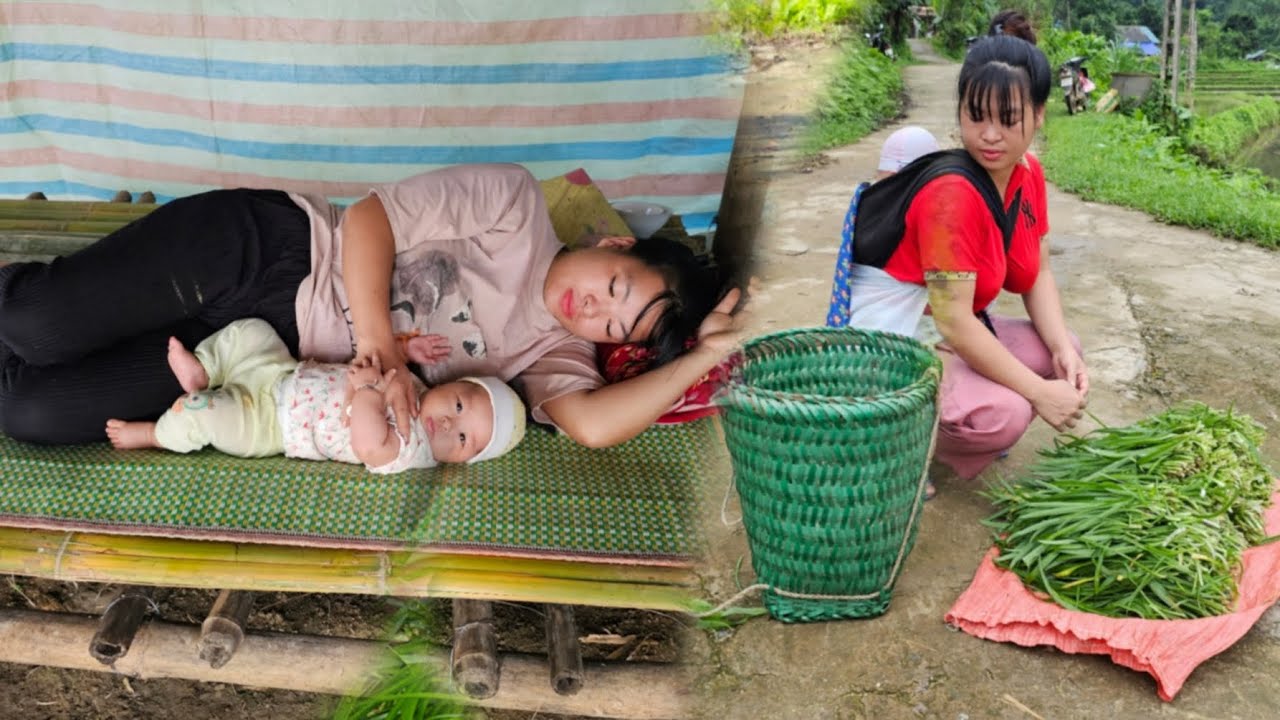 FULL VIDEO: Going with my child to plant rice and pick chives to sell.