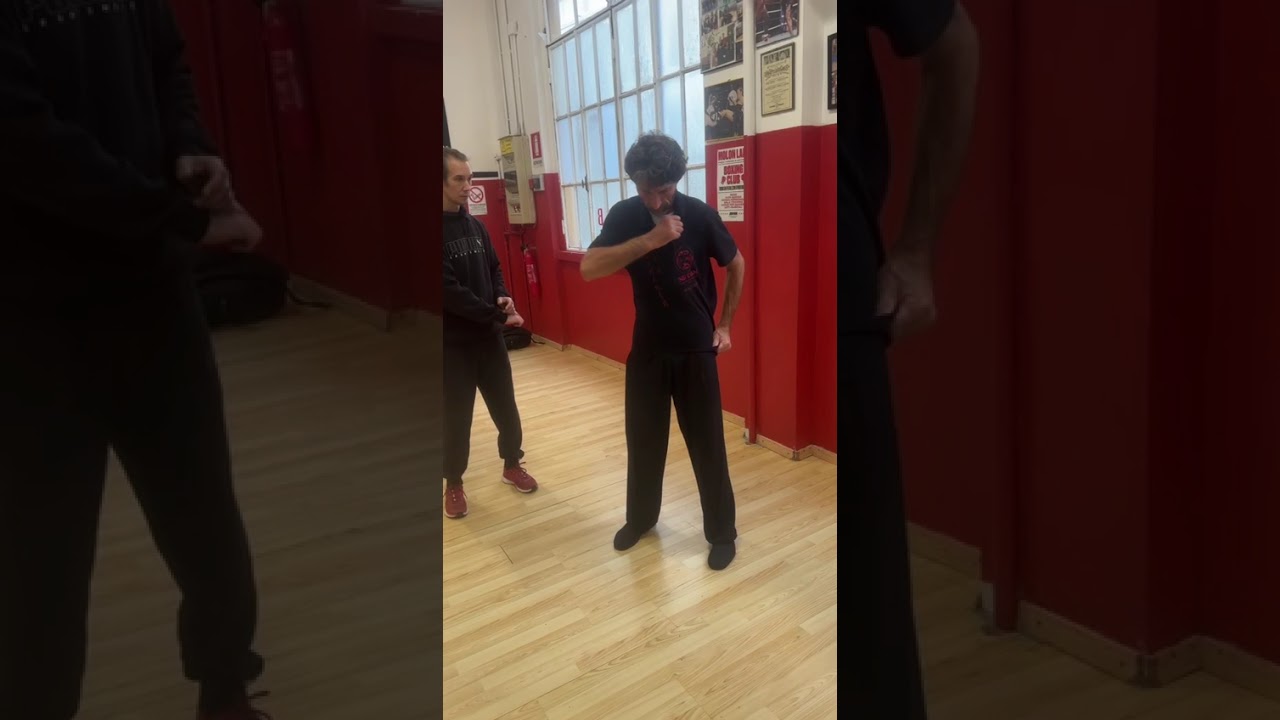 Avvolgere l'asse centrale per lanciare le braccia  #qigong #evoluzione #internalmartialarts #neigong
