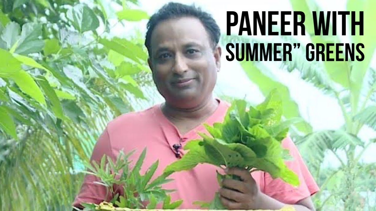 Palak Paneer Recipe like - Top 6 Summer  Green  Leaves with   Paneer Curry Recipe - summer Greens