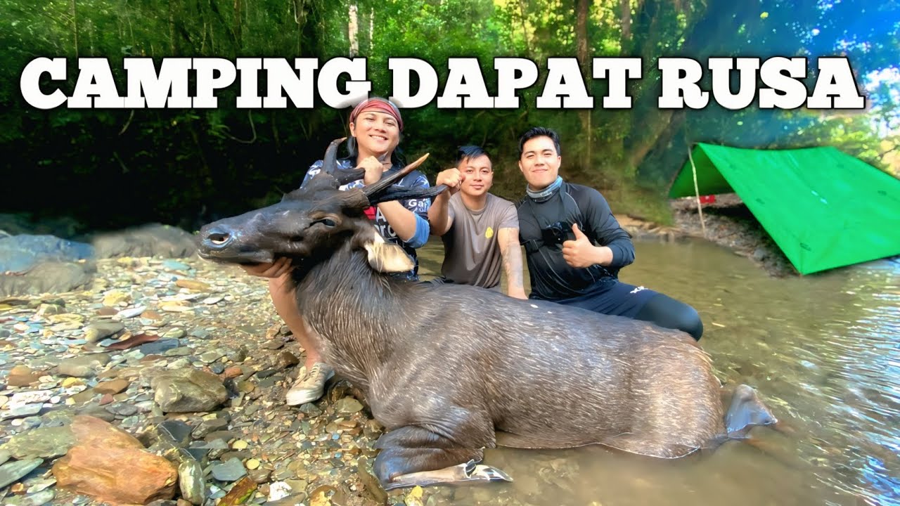 Camping Dapat Rusa Hujan Deras 3 Hari Pertualangan Menjelajahi Hutan Tropis Bermalam Masak Dan Makan