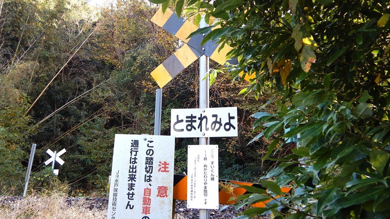 【踏切】JR水郡線　警報機なし！廃道！！沼！！！秘境踏切 (Railroad crossing in Japan)