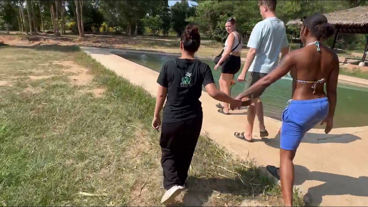 Feeding Elephants in Koh Samui Elephant Sanctuary, Thailand.