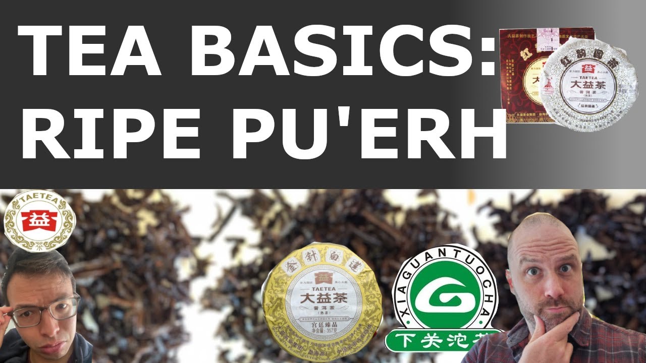 Ripe Pu'erh Learning & Basics [Episode 170]