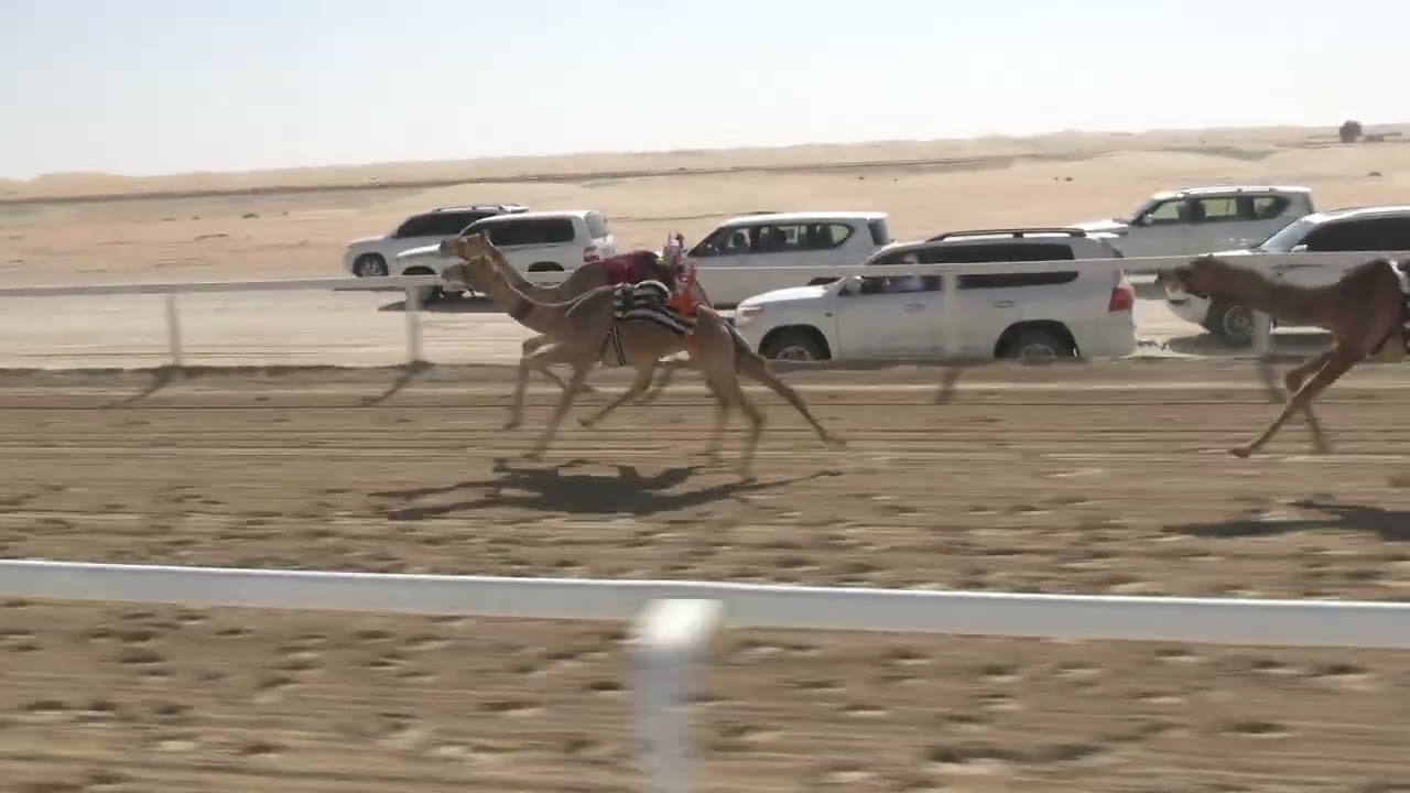 الشوط 3 ♡(  شواهين ) للسيد : سعيد مبارك راشد حفيظ المزروعي توقيت 2.20.60