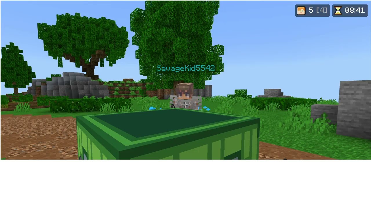 Minecraft Hive Survival Games 2 # with bros # bro's POV (EliteAce9754)