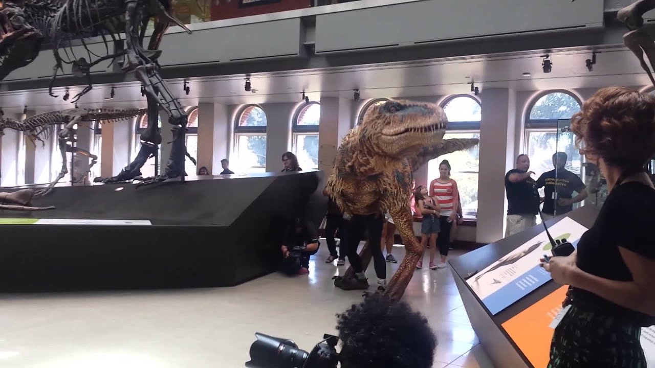 2014-08-27 Natural History Museum meets Walking with Dinosaurs