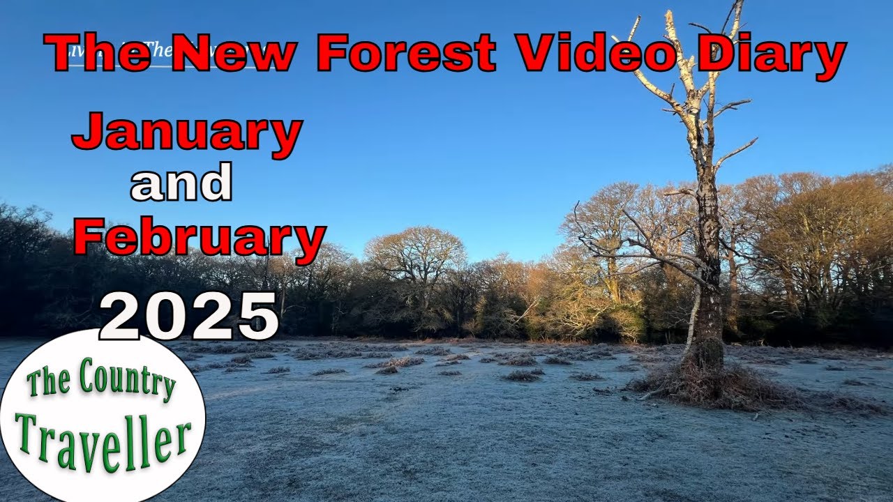 The Famous New Forest Video Diary - Jan Feb 2025 #newforest #livinginthenewforest