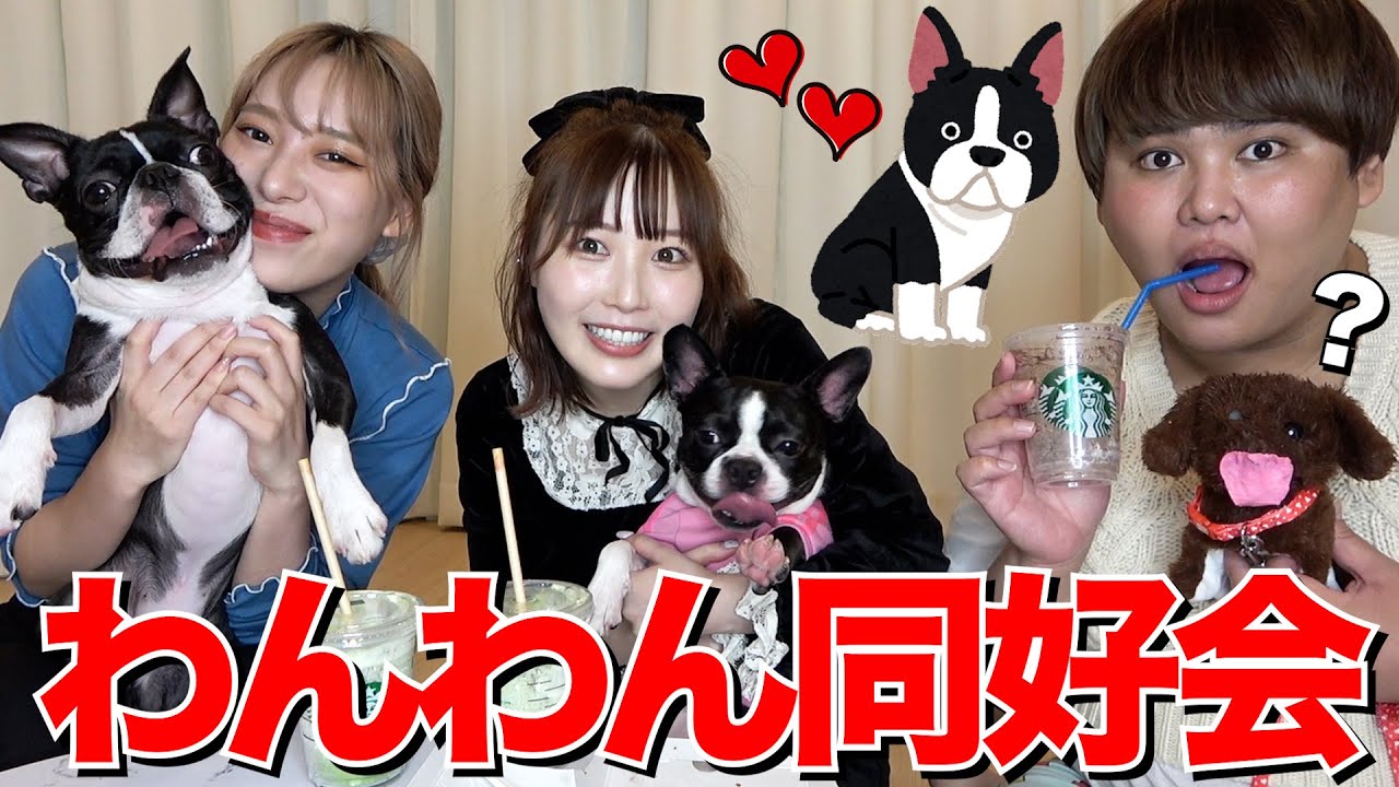 優雅なティータイム vs 騒がしい犬会【ふくれな】