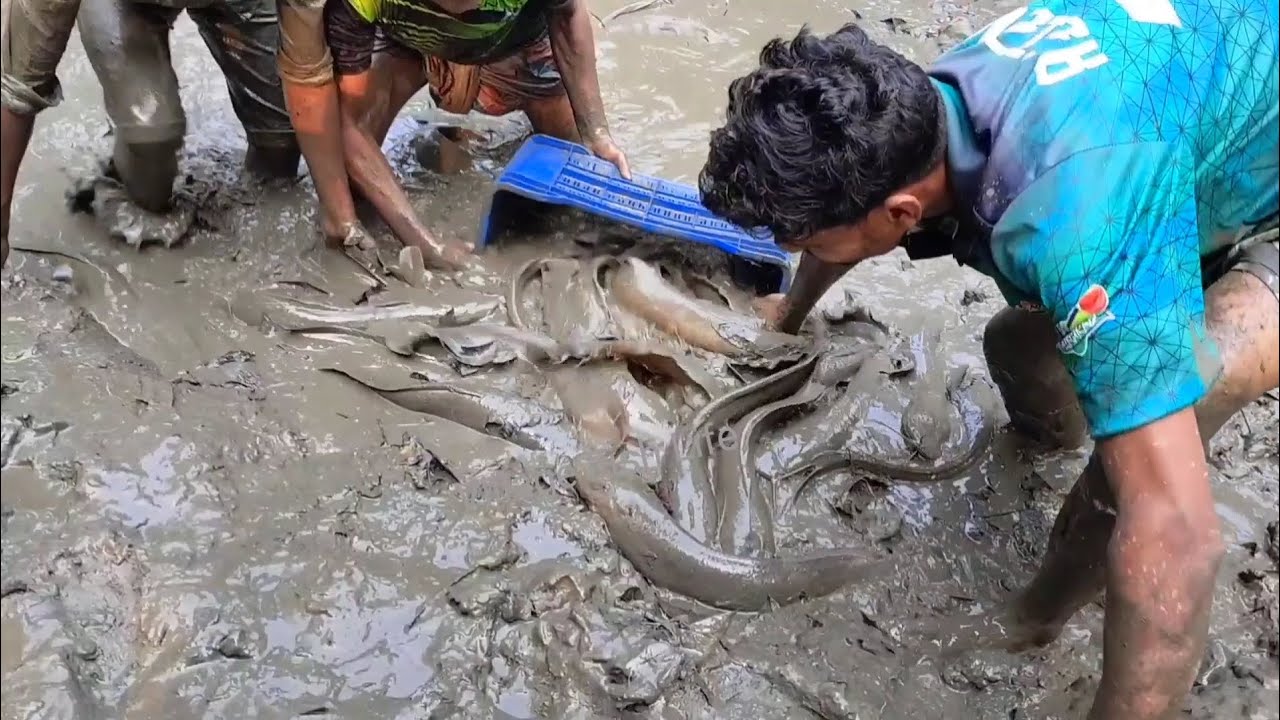 পরিবারের সবাই মিলে মাছ ধরার সুন্দর মুহূর্ত। 