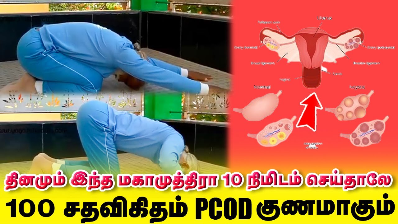 தினமும் 10 நிமிடம் இந்த மகாமுத்திரா செய்தாலே போதும் 100 சதவிகிதம் PCOD குணமாகும் / Yogam | யோகம்
