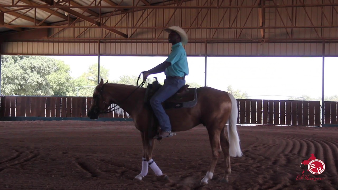 Training Tips: Steering Your Horse