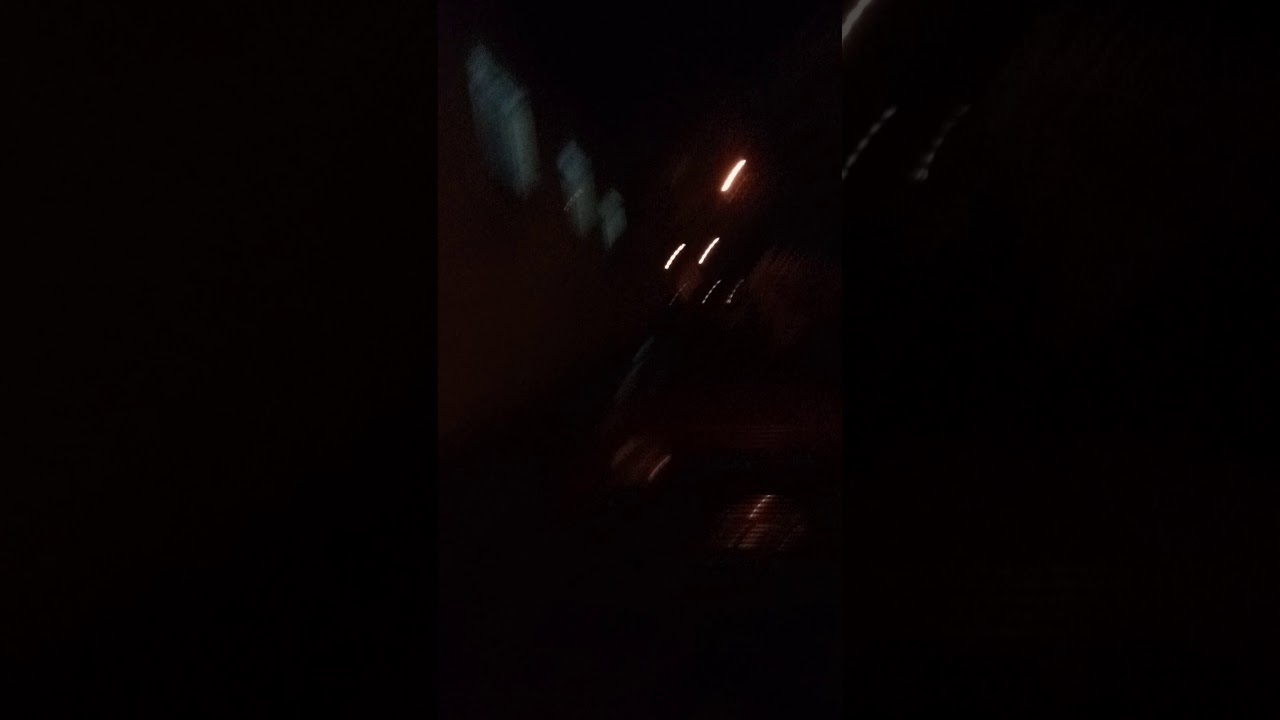 s&oacute; malucos truta vegeta