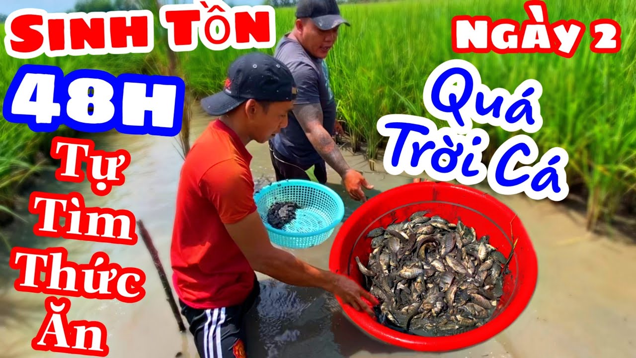 TXTV - Sinh Tồn Ngày 2 | Thánh Xàm  Trúng Được Ổ Cá To Giữa Đồng Không Còn Lo Đói Nữa