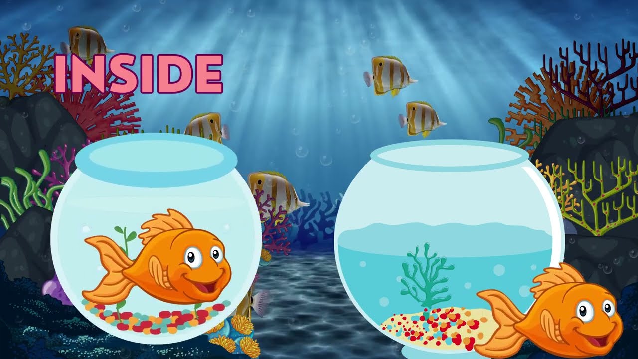 Concepts of INSIDE and OUTSIDE for Kids I Educational Video for Kids I #viral #education #kids
