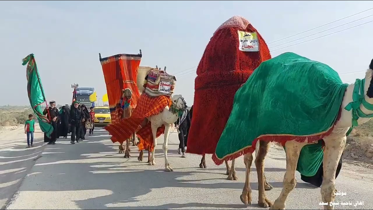 انطلقت هذا اليوم مسيرة سعيد بن جبير رض سيرآ ع الاقدام من ناحية شيخ سعد الى قضاء الحي