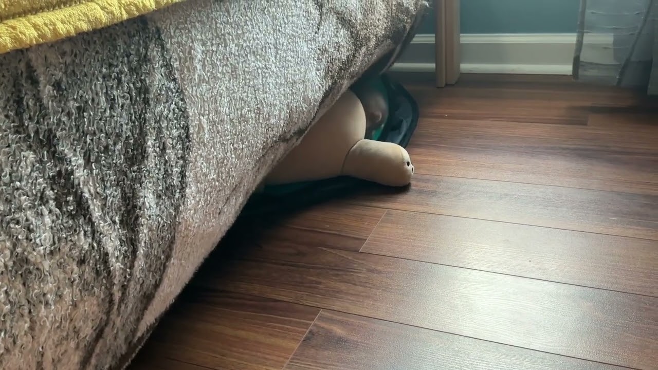 He was caught stashing