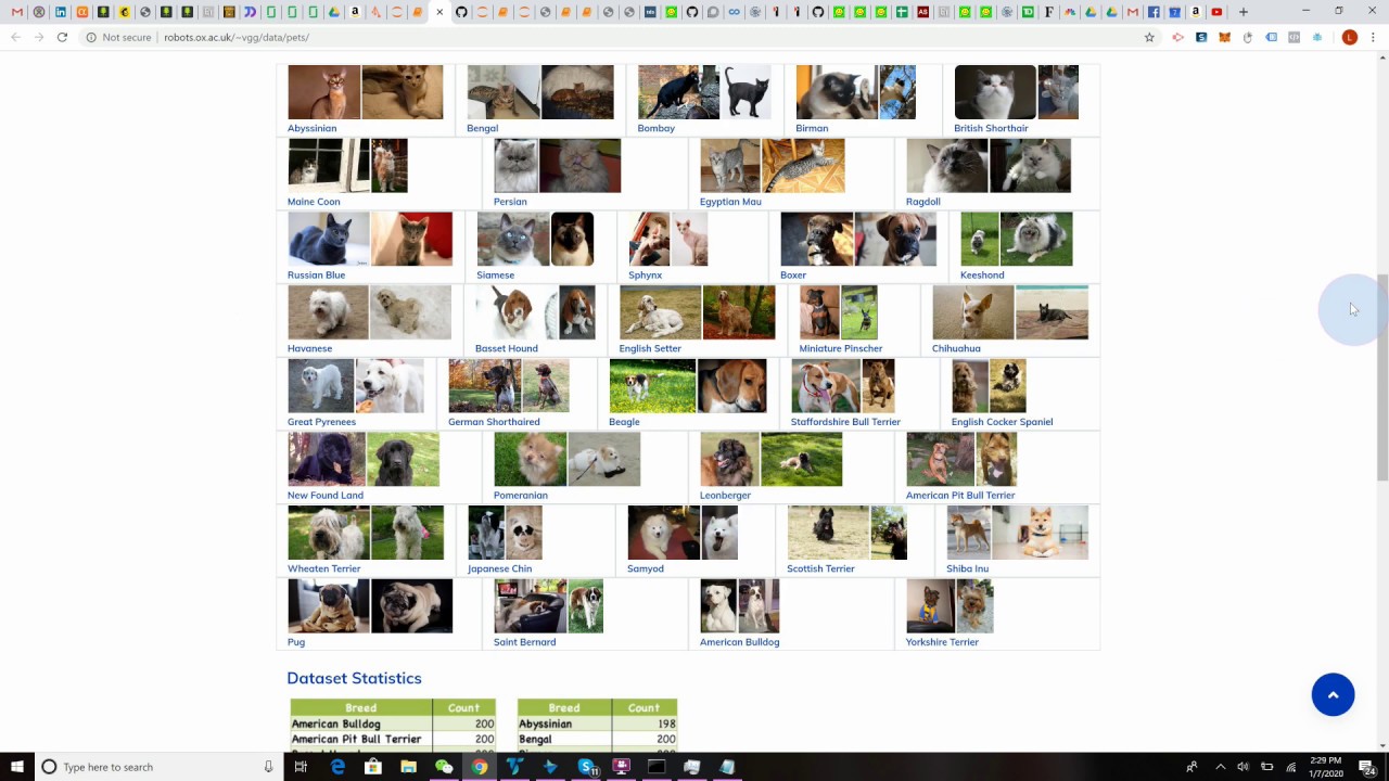 In 20 minutes: Build an AI pet breed classifier with Deep Learning... 20 minutes & 50 cents.