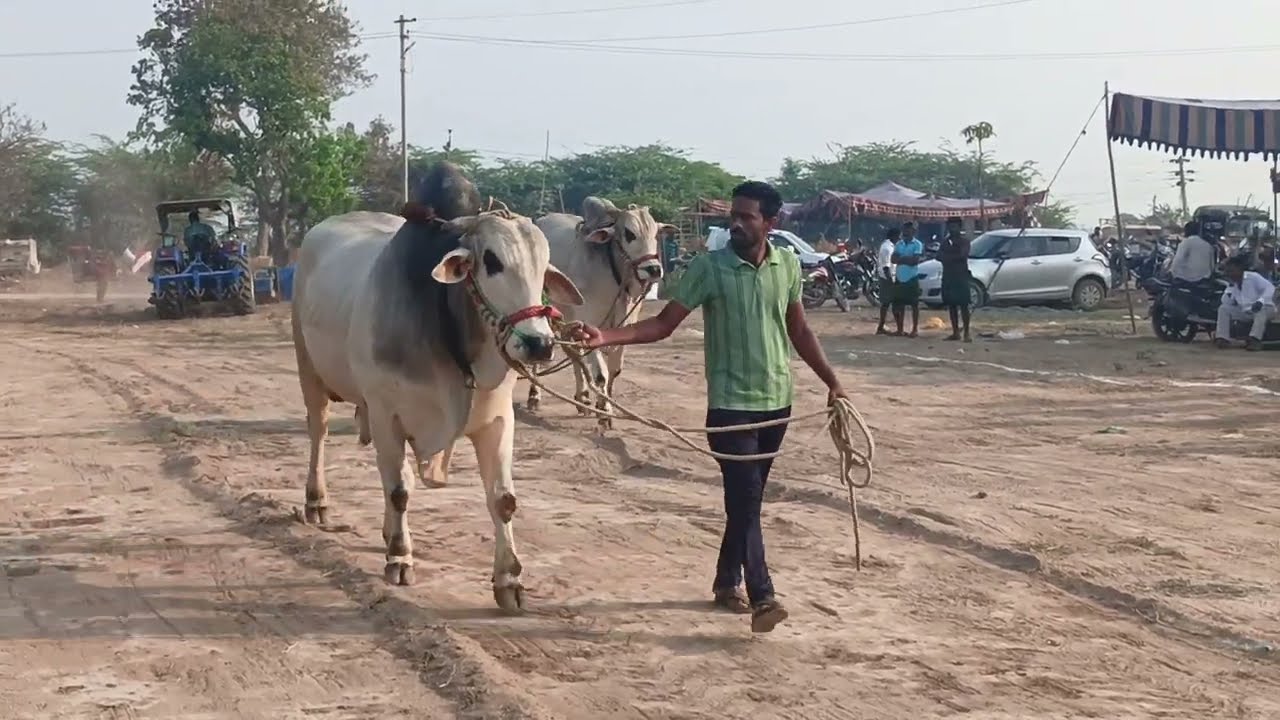 రామ సుబ్బారెడ్డి గారి జత రావడం జరిగింది, నక్కల దీన్నే ఓల్డ్ కేటగిరీ విభాగం 