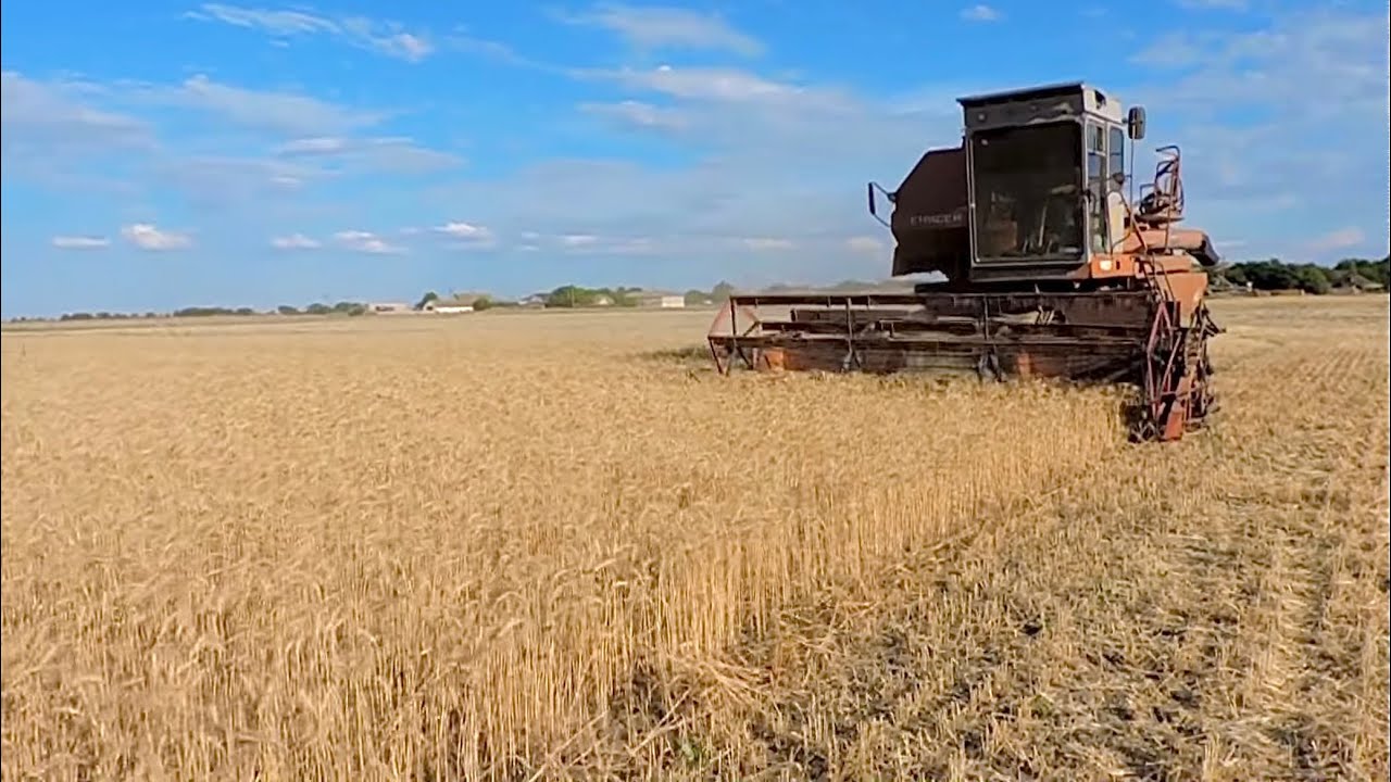 Конец Уборки зерновых 2022🌾