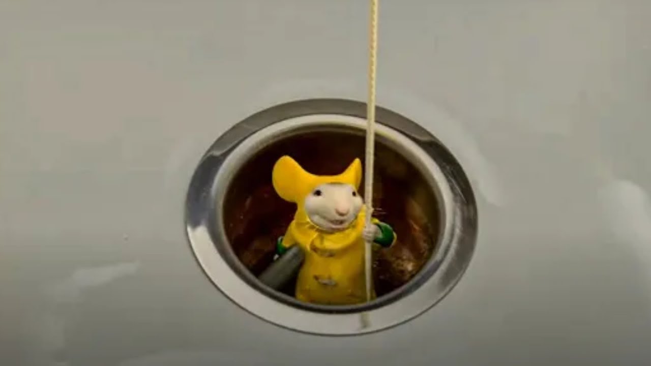 Stuart little उतरा नाली में मम्मी की ring लाने के लिए। 