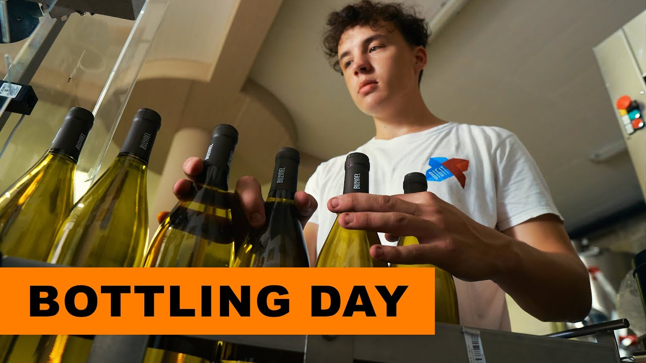 Bottling Wine on a Big Truck / Full Day Vlog