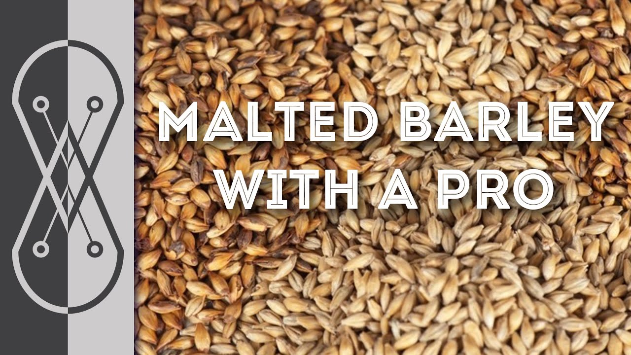 Professional Maltster Explains Malting Barley - Matt Drew